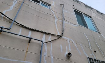 갤러리